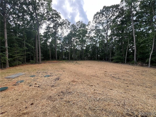 8104 Strath Rd, Henrico, VA 23231 - view of nature