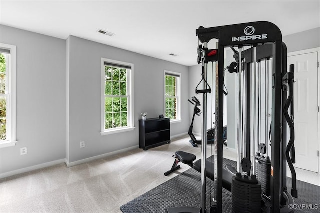 6530 Southshore Dr, Midlothian, VA 23112 - exercise area with baseboards and light colored carpet