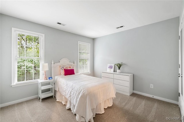 6530 Southshore Dr, Midlothian, VA 23112 - bedroom featuring multiple windows and light carpet