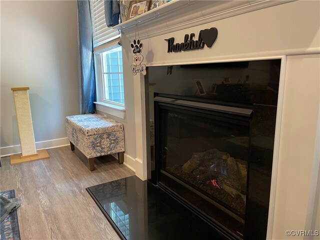 15518 Centerline Ct, Chesterfield, VA 23832 - detailed view of wood finished floors and a glass covered fireplace