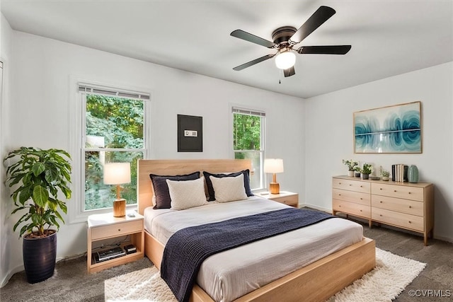 15241 Broadwater Cir, Chesterfield, VA 23831 - bedroom with carpet floors, ceiling fan, and electric panel
