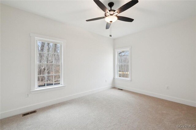 10964 Cross County Rd, Mineral, VA 23117 - photo 20