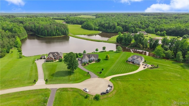 11561 Smokehouse Dr, Amelia Courthouse, VA 23002 - aerial view of a large body of water and a heavily wooded area