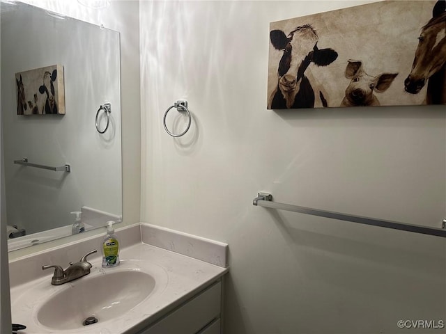 2942 Owens Creek Rd, Louisa, VA 23117 - bathroom with vanity