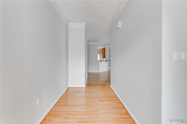 600 Krim Point Loop, Midlothian, VA 23114 - hall with ornamental molding and light wood-style floors