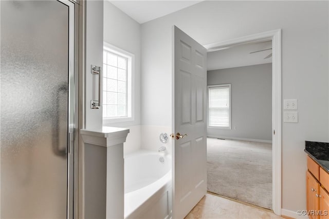 600 Krim Point Loop, Midlothian, VA 23114 - bathroom with vanity, a stall shower, a bath, and healthy amount of natural light
