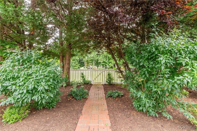 600 Krim Point Loop, Midlothian, VA 23114 - view of yard