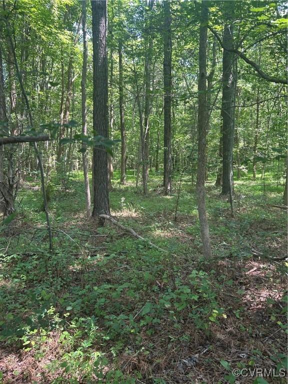 0 Chula Rd, Amelia, VA 23002
