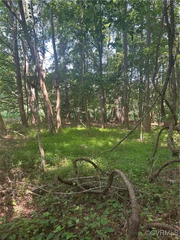 0 Chula Rd, Amelia, VA 23002