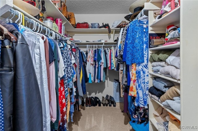 4855 Cypress Point Cir Unit 104, Virginia Beach, VA 23455 - walk in closet with carpet floors