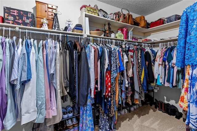 4855 Cypress Point Cir Unit 104, Virginia Beach, VA 23455 - walk in closet featuring carpet flooring