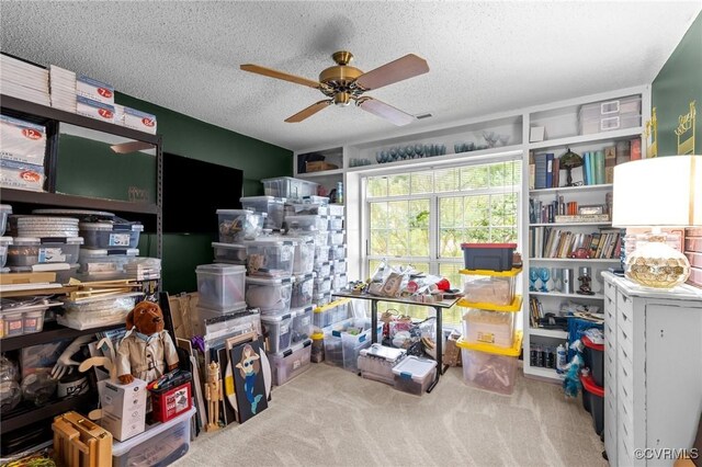 4855 Cypress Point Cir Unit 104, Virginia Beach, VA 23455 - storage featuring ceiling fan