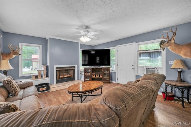 1305 Pea Ridge Rd, King & Queen, VA 23023 - living room with wood finished floors, plenty of natural light, ceiling fan, a textured ceiling, and a fireplace with raised hearth