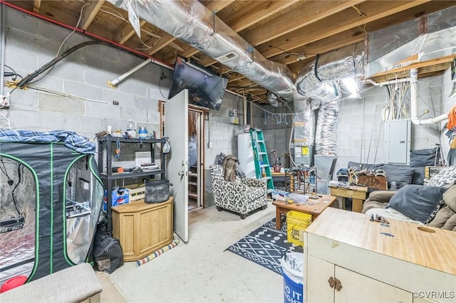 1305 Pea Ridge Rd, King & Queen, VA 23023 - unfinished below grade area with electric panel