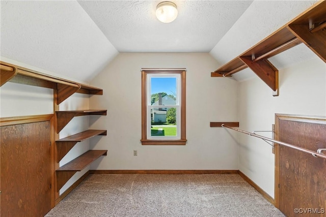 8346 Hanover Grove Blvd, Hanover, VA 23111 - spacious closet featuring carpet floors and vaulted ceiling