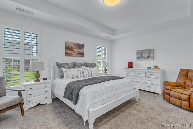 12 Essie Ct, Irvington, VA 22480 - bedroom with light colored carpet and a raised ceiling