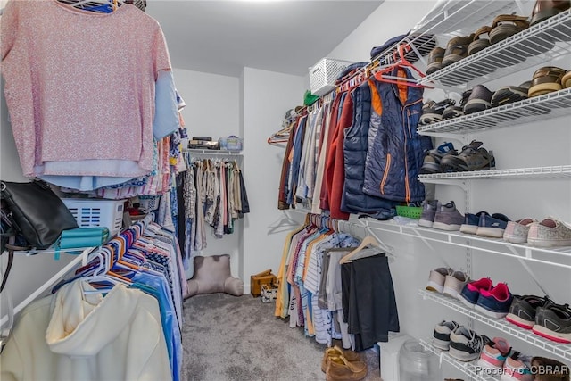 12 Essie Ct, Irvington, VA 22480 - walk in closet featuring carpet flooring