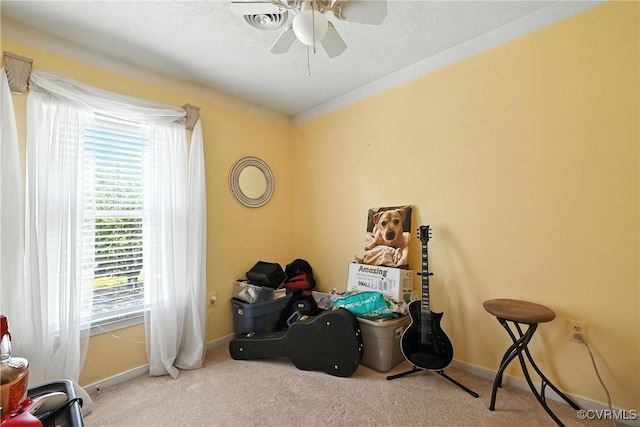 4901 Green Run Dr, Henrico, VA 23228 - misc room featuring healthy amount of natural light, carpet flooring, and a ceiling fan