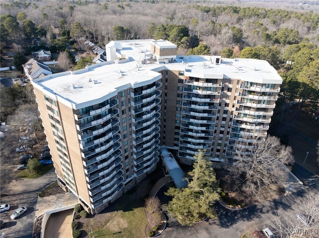 2956 Hathaway Rd Unit 807, Richmond, VA 23225 - bird's eye view of a forest