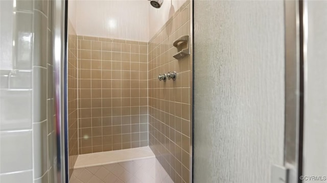 2711 Salisbury Rd, Midlothian, VA 23113 - full bath featuring a stall shower