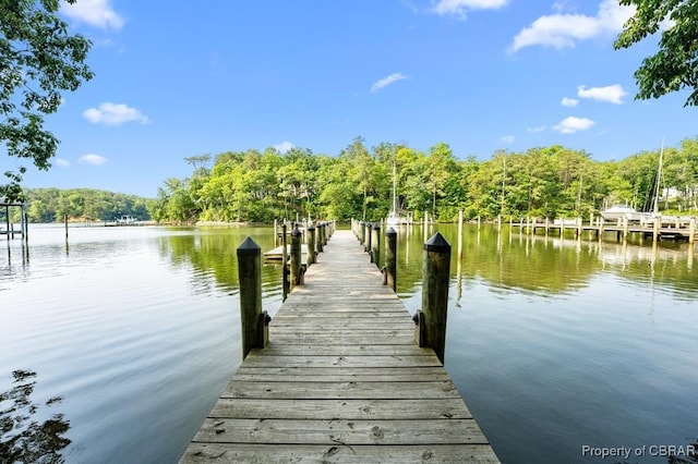50 Tipers Cir, Heathsville, VA 22473 - dock with a water view and a view of trees