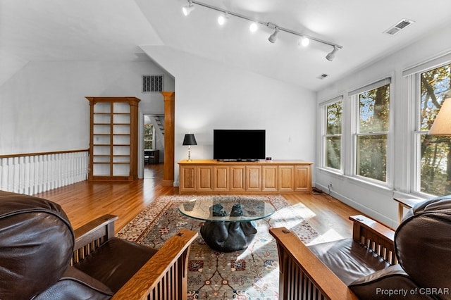 50 Tipers Cir, Heathsville, VA 22473 - living room with vaulted ceiling, light wood finished floors, and track lighting