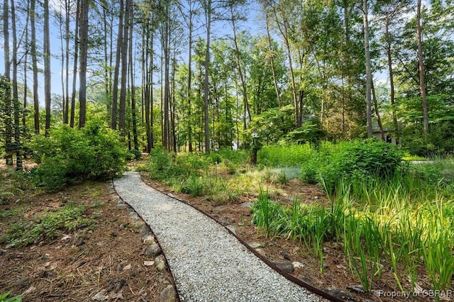 50 Tipers Cir, Heathsville, VA 22473 - view of yard