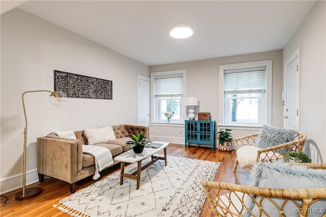 619 Roseneath Rd Unit U21, Richmond, VA 23221 - living area featuring wood finished floors