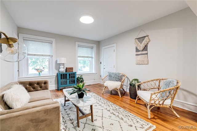 619 Roseneath Rd Unit U21, Richmond, VA 23221 - living area with wood finished floors and baseboards