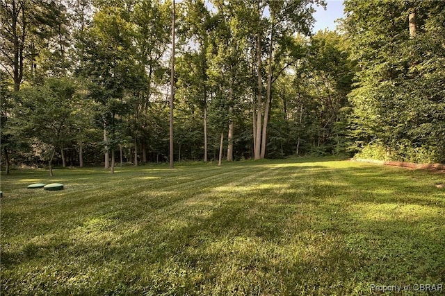8619 Thomas Jefferson Way, Gloucester, VA 23061 - view of grassy yard with a forest view