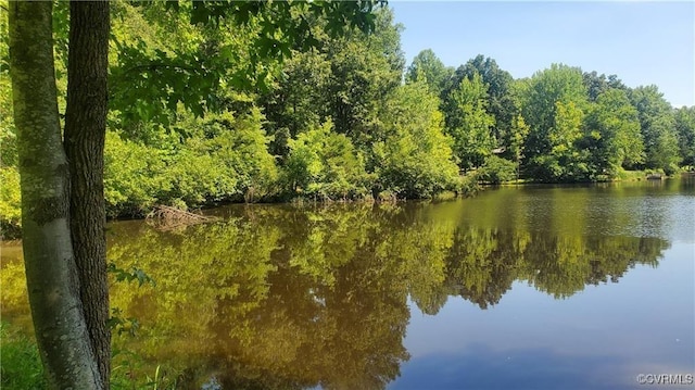 4601 Hadensville Farm Ln, Mineral, VA 23117 - photo 1