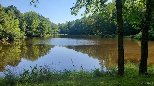 4601 Hadensville Farm Ln, Mineral, VA 23117 - photo 2