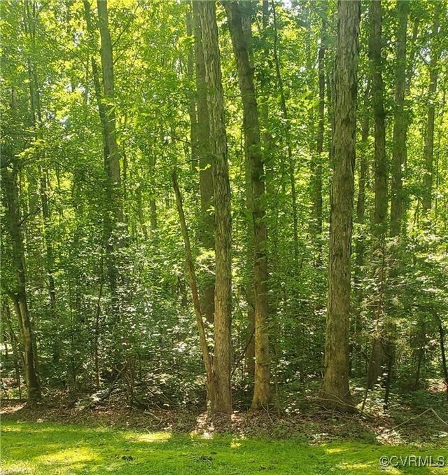 4601 Hadensville Farm Ln, Mineral, VA 23117 - photo 3