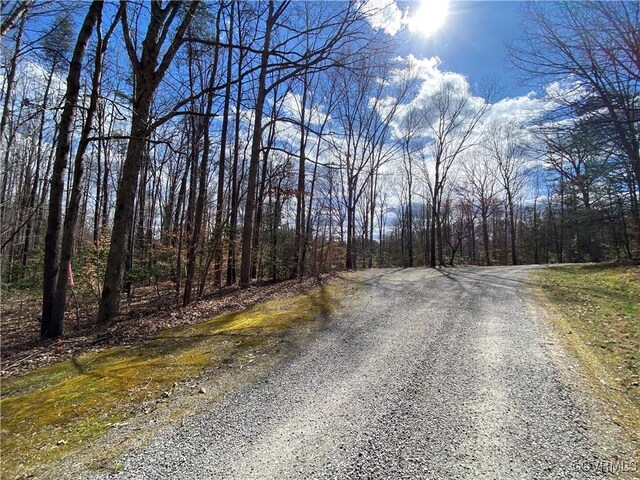 4601 Hadensville Farm Ln, Mineral, VA 23117 - photo 5