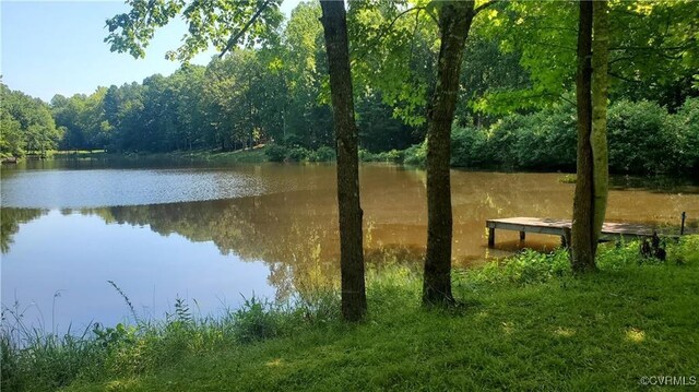 4601 Hadensville Farm Ln, Mineral, VA 23117 - photo 7