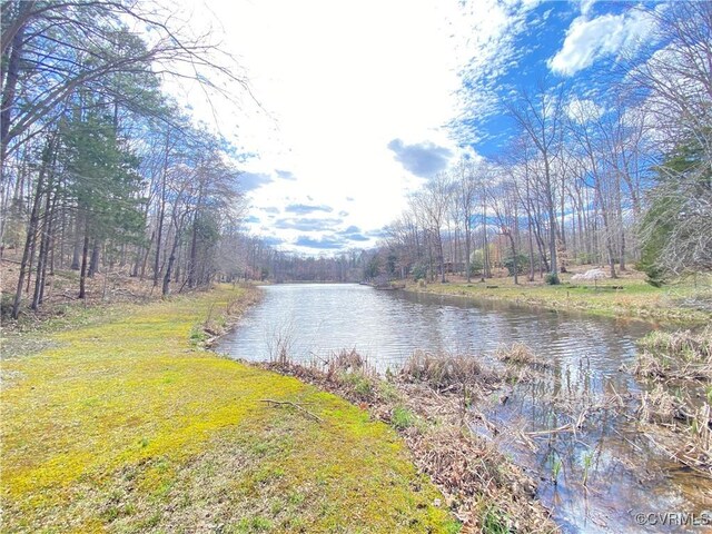 4601 Hadensville Farm Ln, Mineral, VA 23117 - photo 10