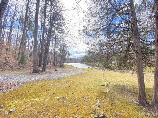4601 Hadensville Farm Ln, Mineral, VA 23117 - photo 11