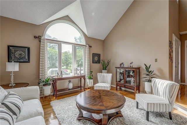 2711 Robson Ct, Henrico, VA 23233 - living area featuring vaulted ceiling and light wood-type flooring
