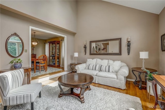 2711 Robson Ct, Henrico, VA 23233 - living room featuring wood finished floors and high vaulted ceiling