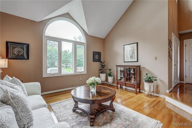 2711 Robson Ct, Henrico, VA 23233 - living area featuring vaulted ceiling and light wood-type flooring