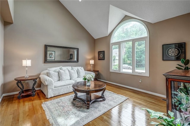 2711 Robson Ct, Henrico, VA 23233 - living room featuring light wood finished floors and vaulted ceiling