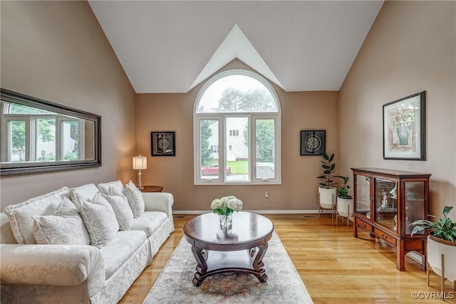 2711 Robson Ct, Henrico, VA 23233 - living room featuring light wood-style floors and vaulted ceiling