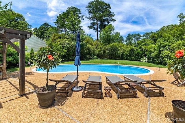 8950 Bellefonte Rd, Henrico, VA 23229 - swimming pool featuring view of scattered trees and a patio area