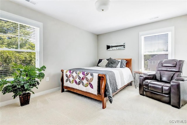 9401 Alsace Ct, Mechanicsville, VA 23116 - bedroom featuring multiple windows and carpet flooring