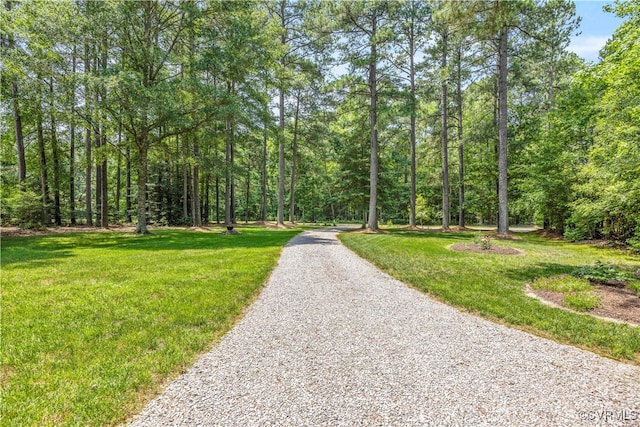 15615 Providence Rd, Prince George, VA 23805 - view of community with a lawn, a view of trees, and gravel driveway