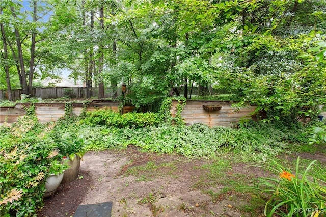 3110 Lake Shire Ct Unit 3110, Richmond, VA 23235 - view of yard