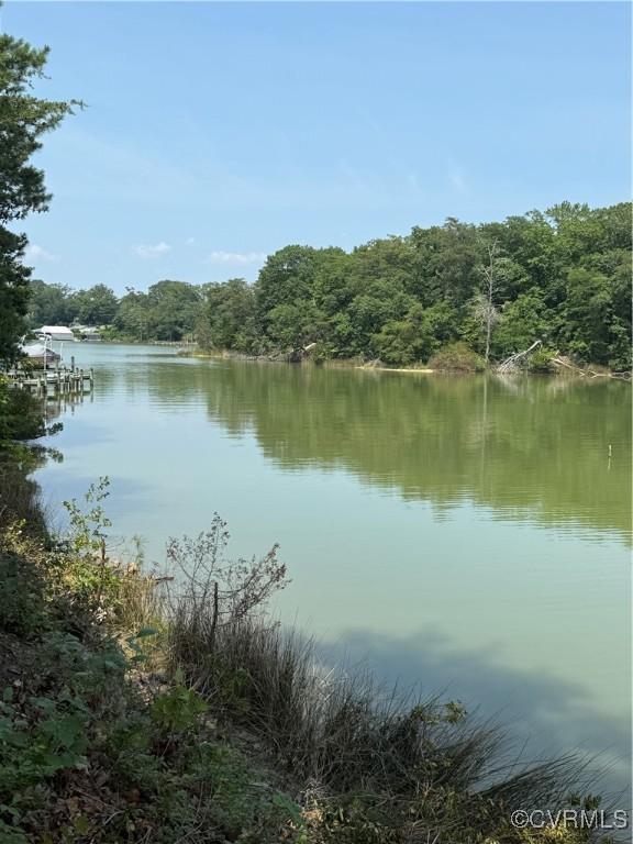 616 Long Point Ln, Topping, VA 23169 - water view featuring a heavily wooded area
