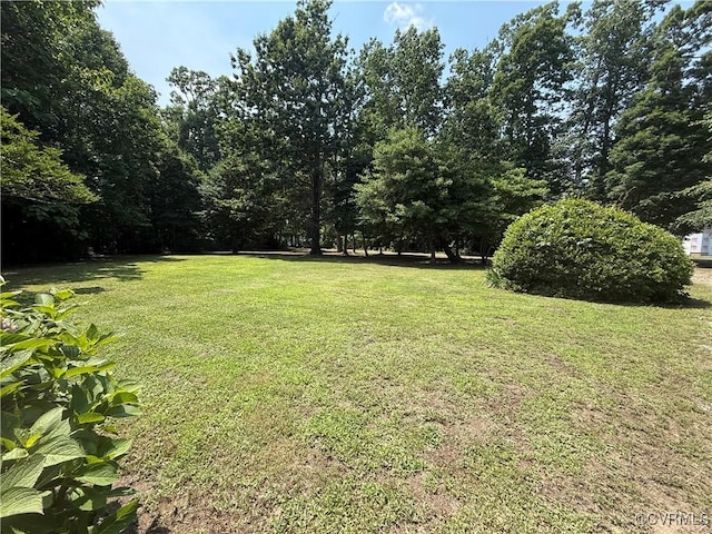 616 Long Point Ln, Topping, VA 23169 - view of green lawn