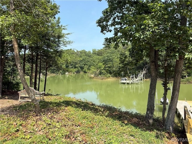 616 Long Point Ln, Topping, VA 23169 - water view with a boat dock