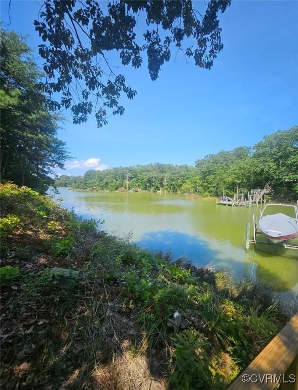 616 Long Point Ln, Topping, VA 23169 - water view with a dock and a forest
